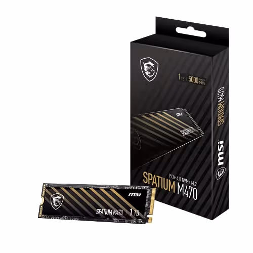 MSI SPATIUM M470 M.2-2280 NVMe (1TB)