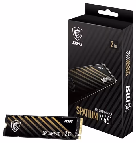 MSI SPATIUM M461 M.2-2280 NVMe (2TB)