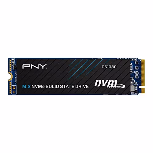PNY CS1030 Nvme M.2 SSD (500GB)
