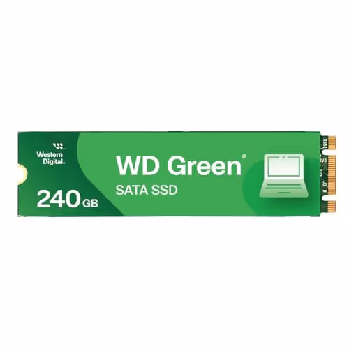 WD (Western Digital) WD_ P10 (2TB)