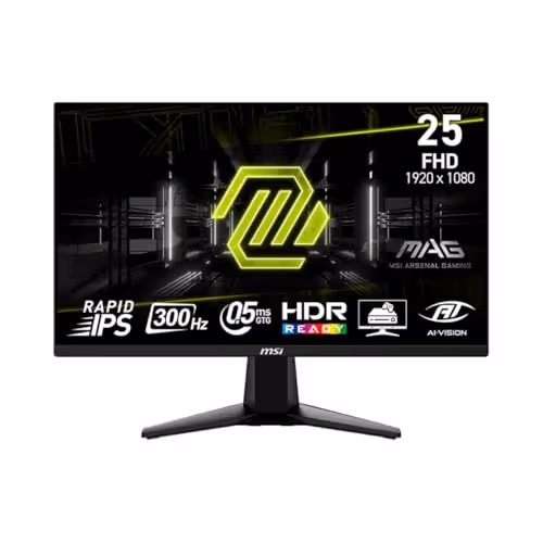 MSI MAG 255XF