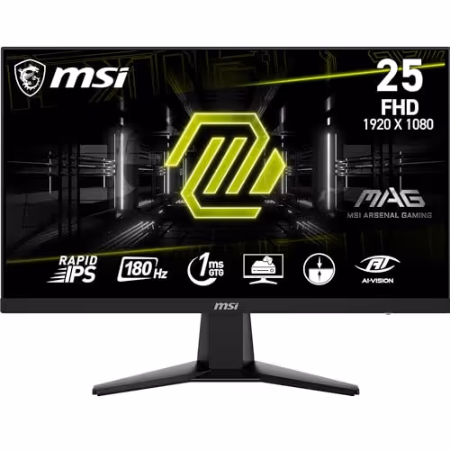 MSI Monitor MAG 256F 24.5 IPS Monitor