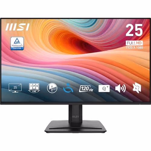MSI PRO MP251 E2 24.5 IPS Monitor