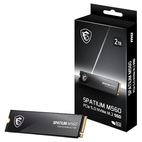MSI SPATIUM M560 M.2-2280 NVMe (2TB)