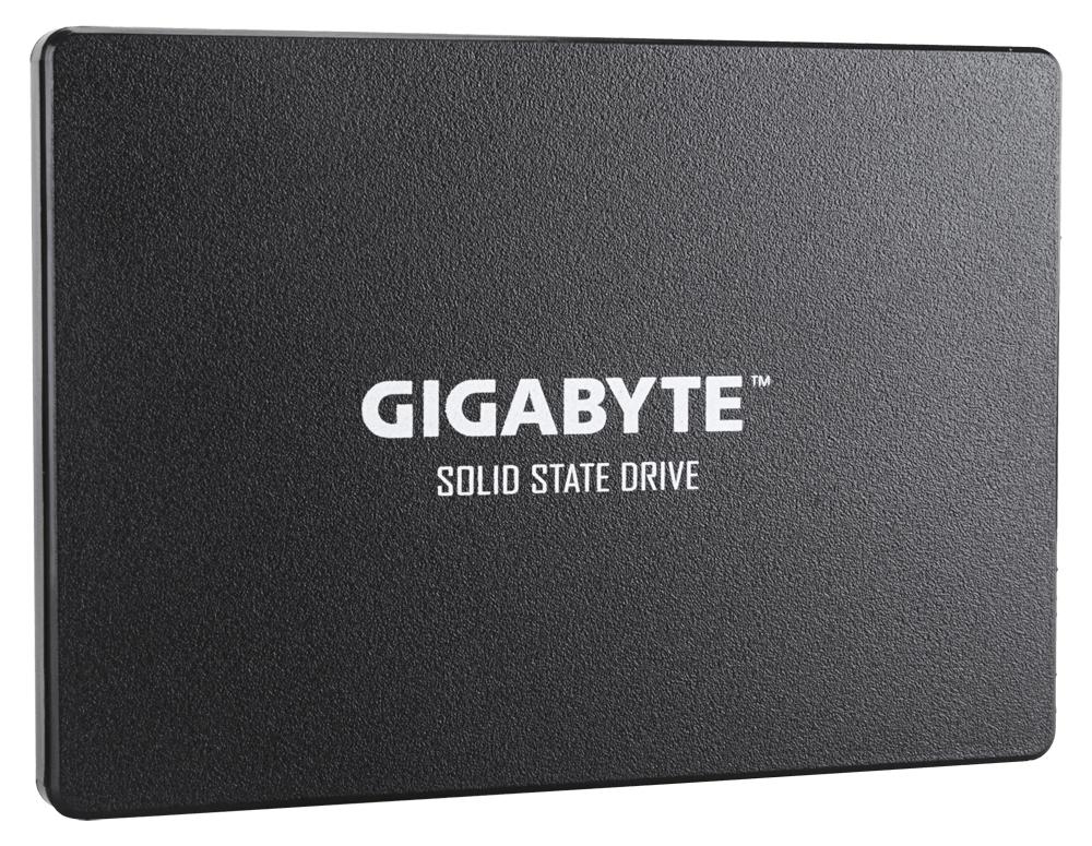GIGABYTE SSD 2.5 internal SSD (256GB)